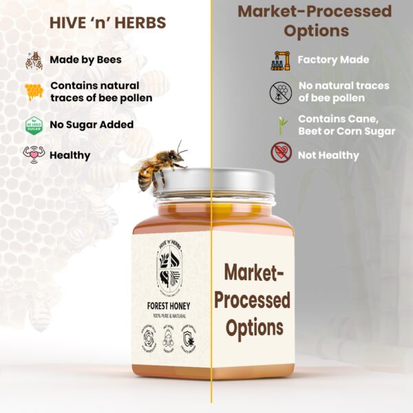 Forest Honey - Image 3